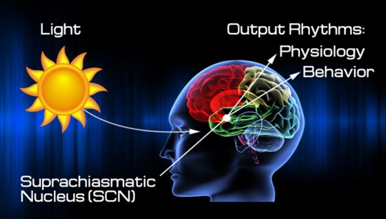 sound of dmt auditory hallucination sound of dmt auditory hallucination