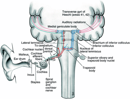 auditory hallucinations icd 10